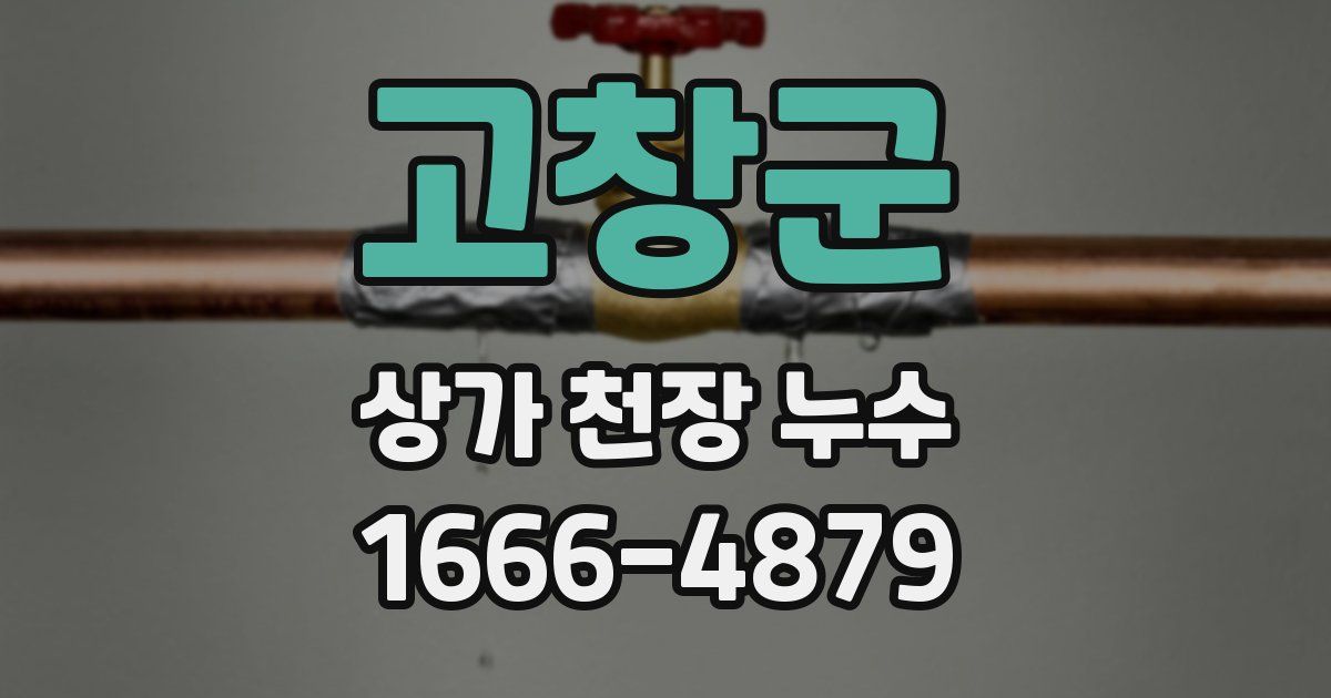 고창군 상가 천장 누수