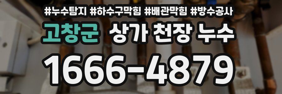 고창군 상가 천장 누수
