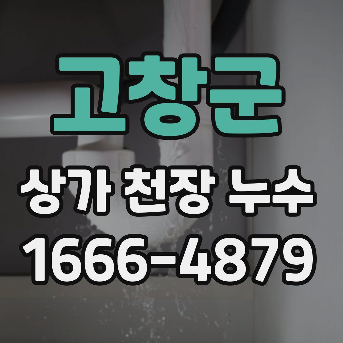 고창군 상가 천장 누수