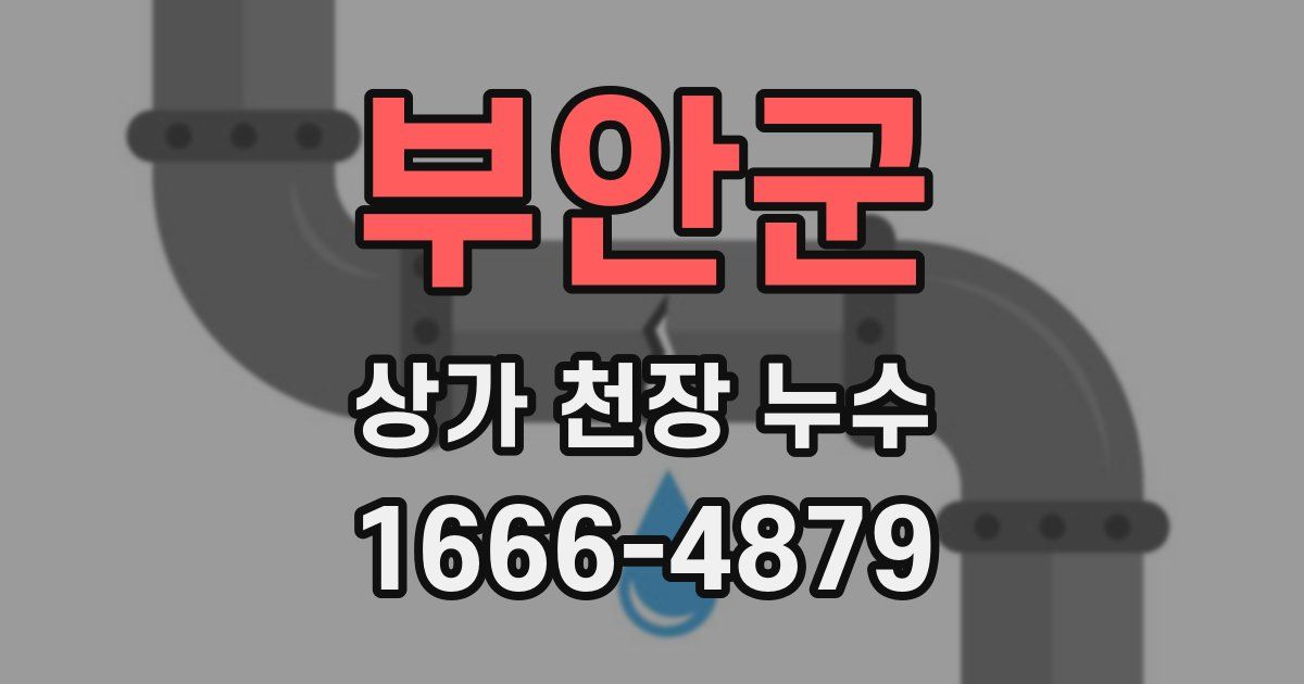 부안군 상가 천장 누수