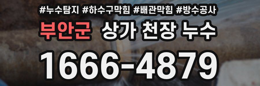 부안군 상가 천장 누수