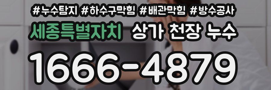 세종특별자치 상가 천장 누수