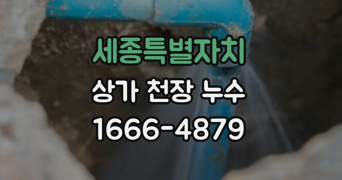 세종특별자치 상가 천장 누수