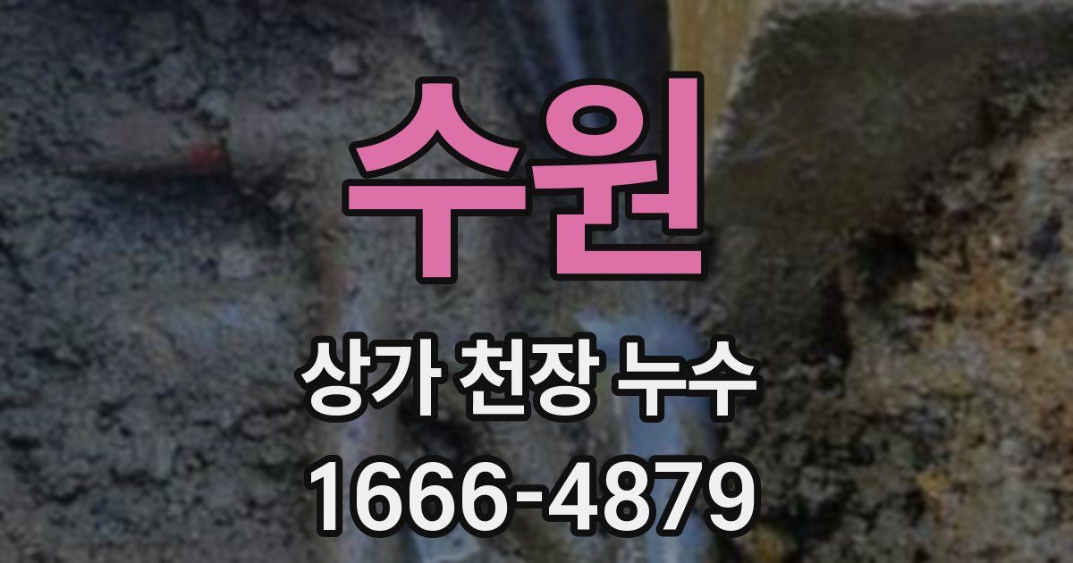 수원 상가 천장 누수