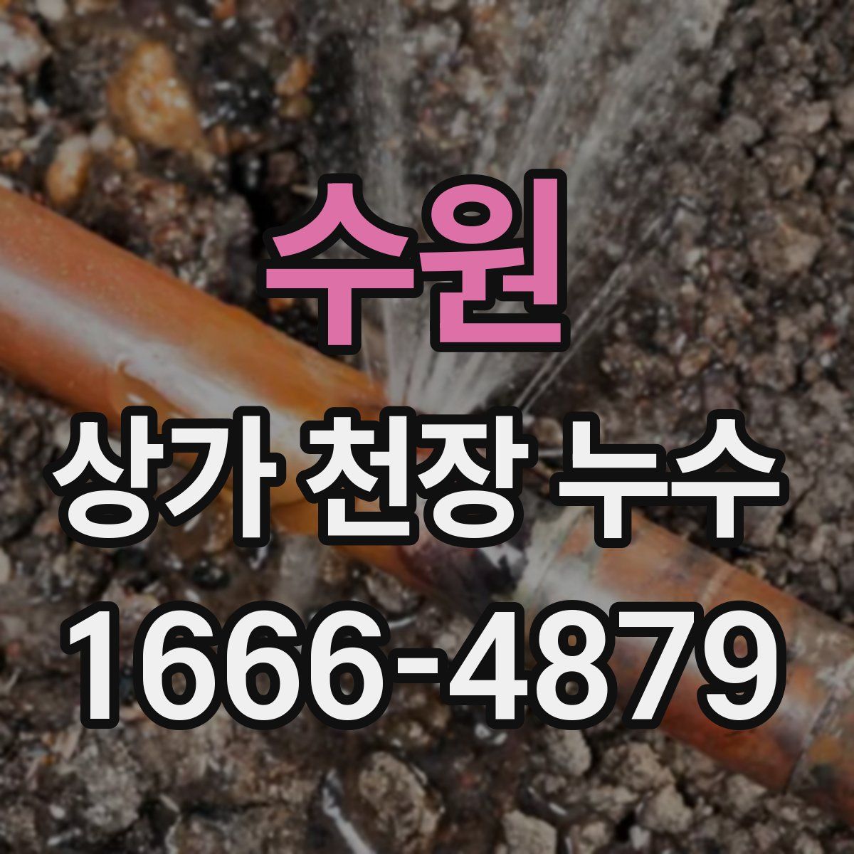 수원 상가 천장 누수