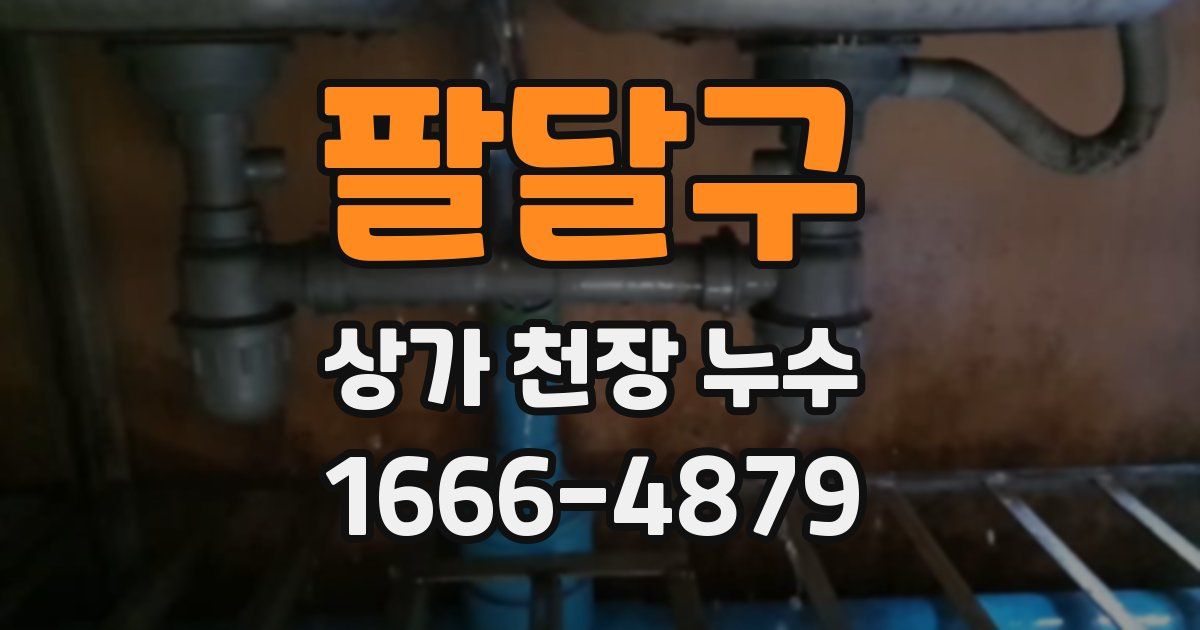 팔달구 상가 천장 누수