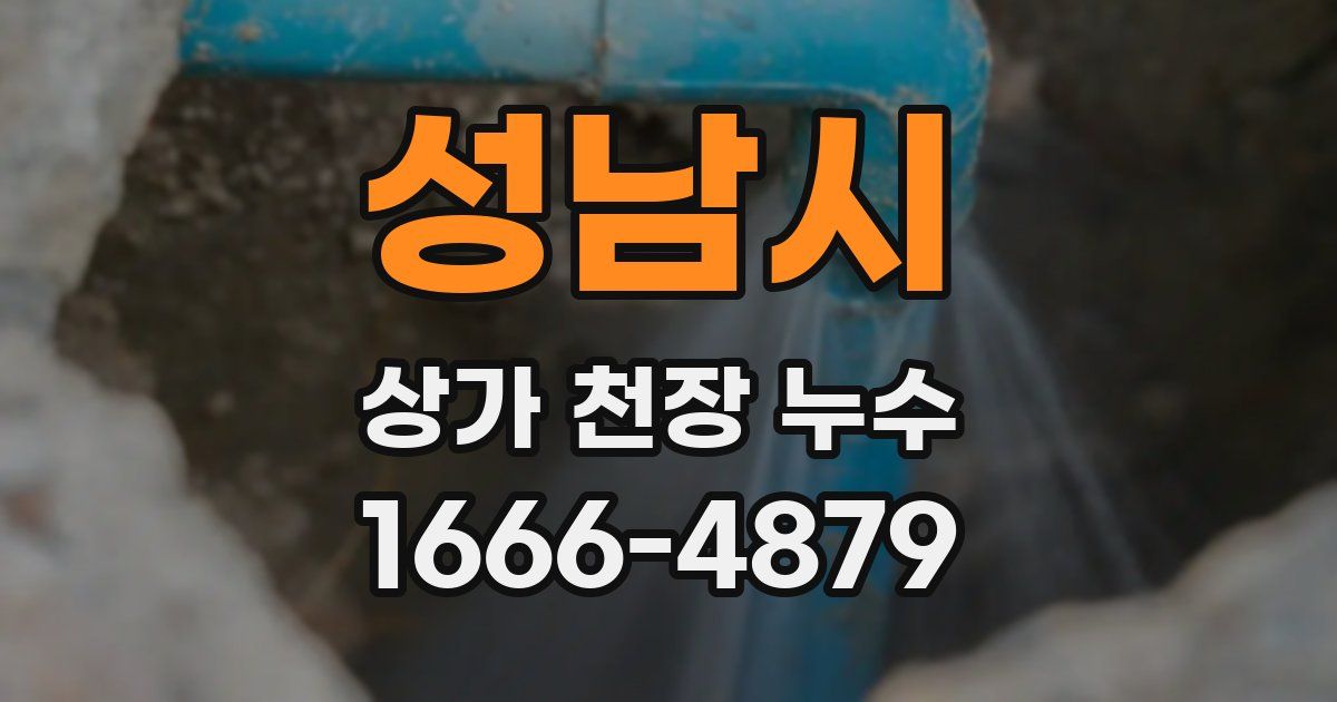 성남시 상가 천장 누수