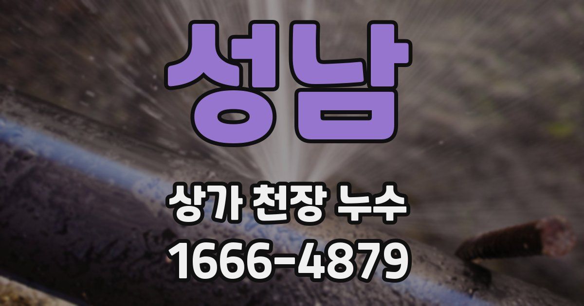 성남 상가 천장 누수
