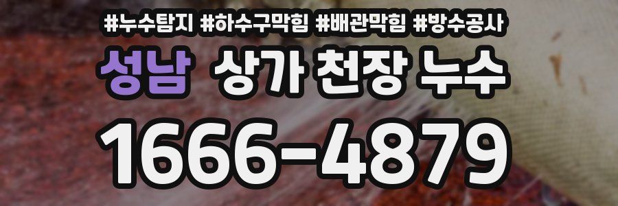 성남 상가 천장 누수