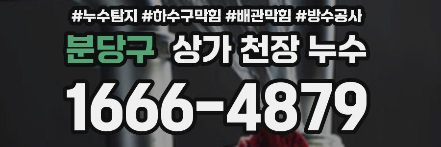 분당구 상가 천장 누수