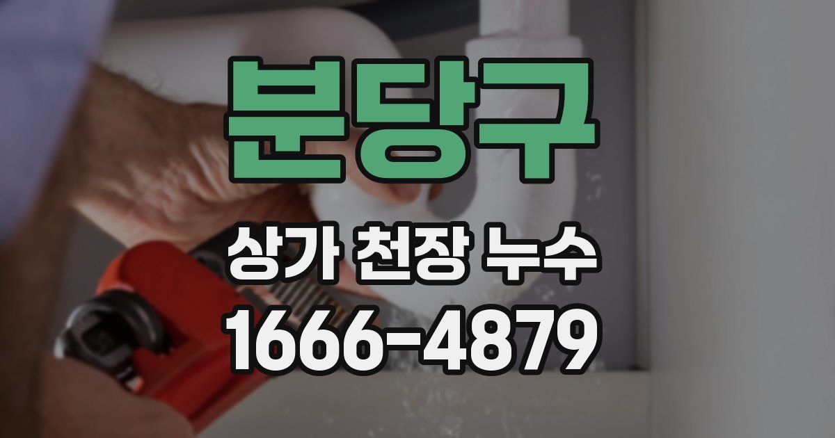 분당구 상가 천장 누수
