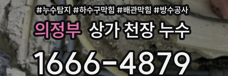 의정부 상가 천장 누수