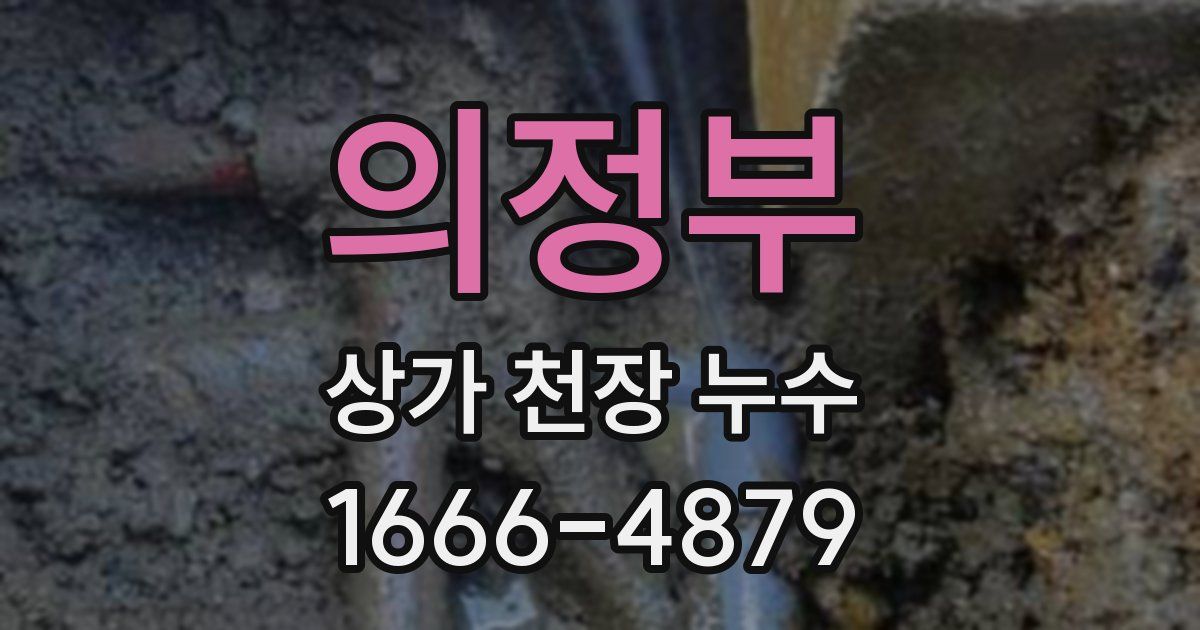 의정부 상가 천장 누수