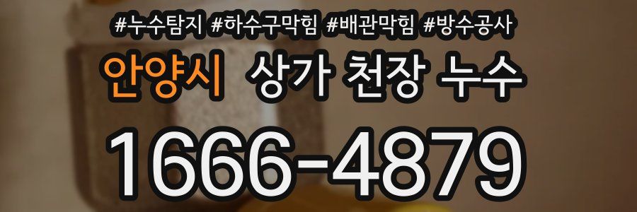 안양시 상가 천장 누수
