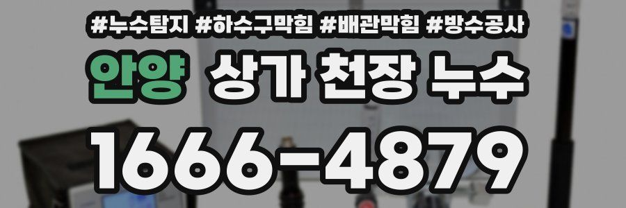 안양 상가 천장 누수