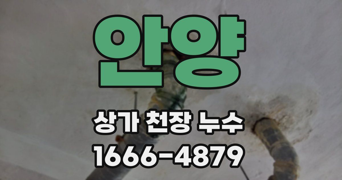 안양 상가 천장 누수