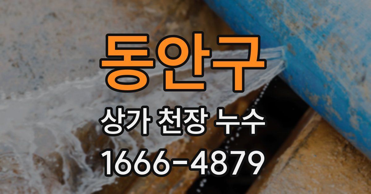 동안구 상가 천장 누수