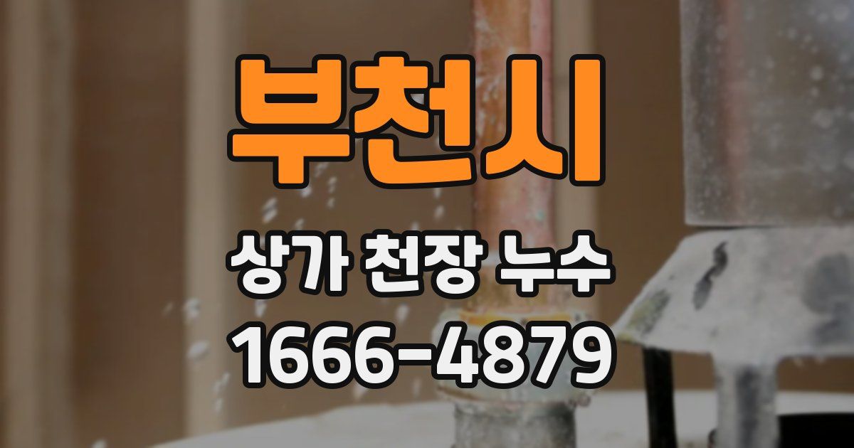 부천시 상가 천장 누수