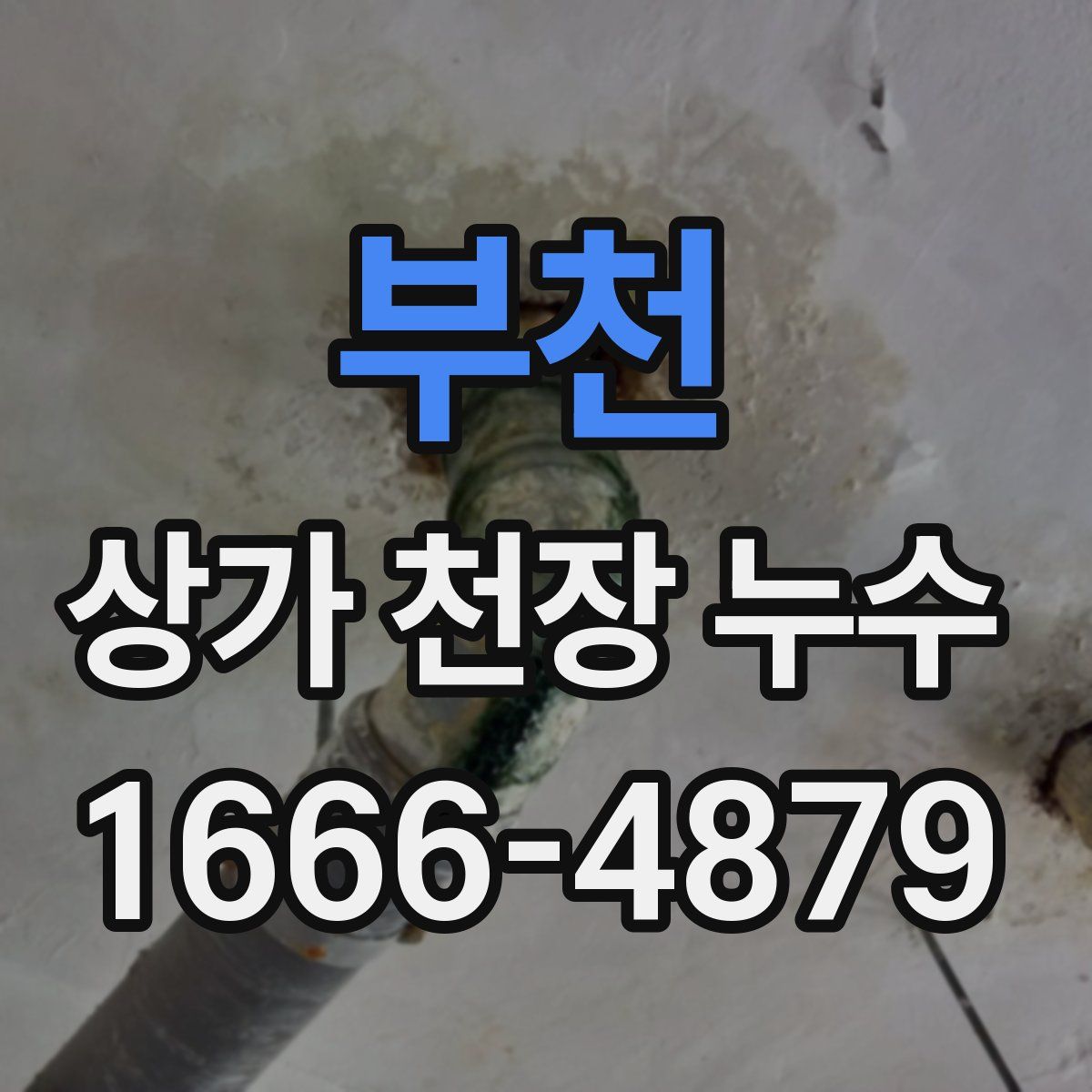 부천 상가 천장 누수