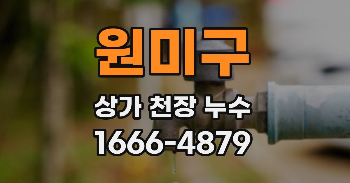 원미구 상가 천장 누수