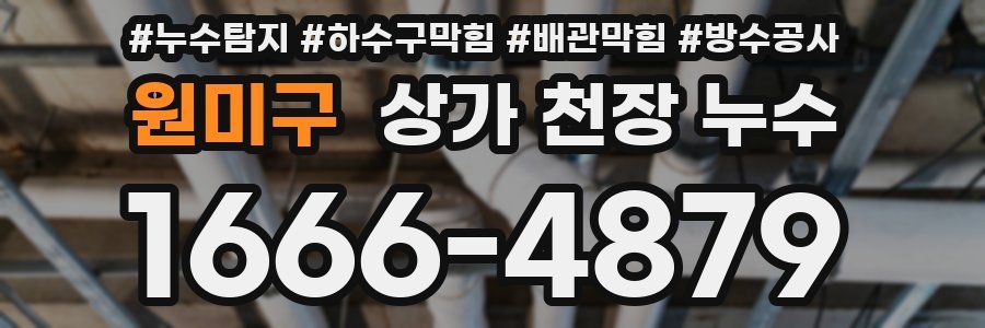 원미구 상가 천장 누수