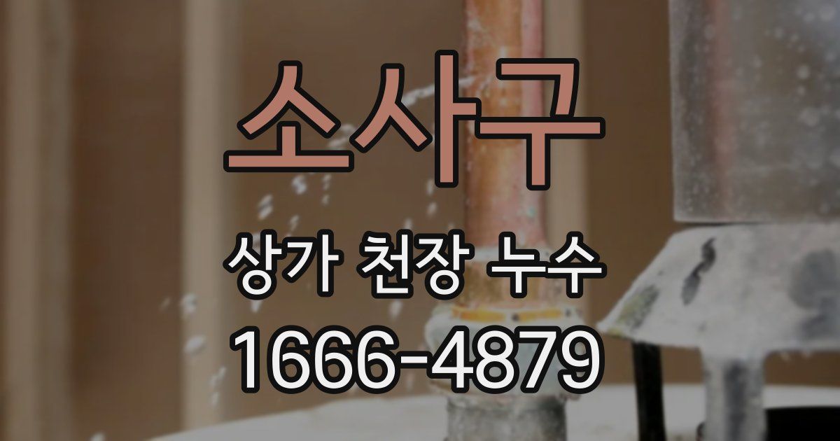 소사구 상가 천장 누수