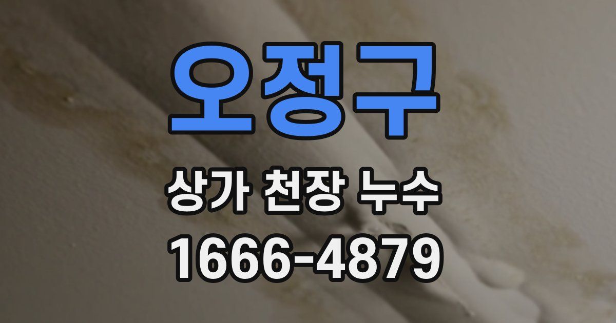 오정구 상가 천장 누수
