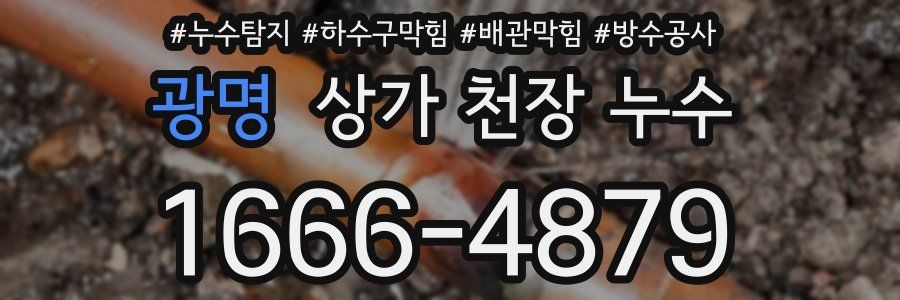 광명 상가 천장 누수