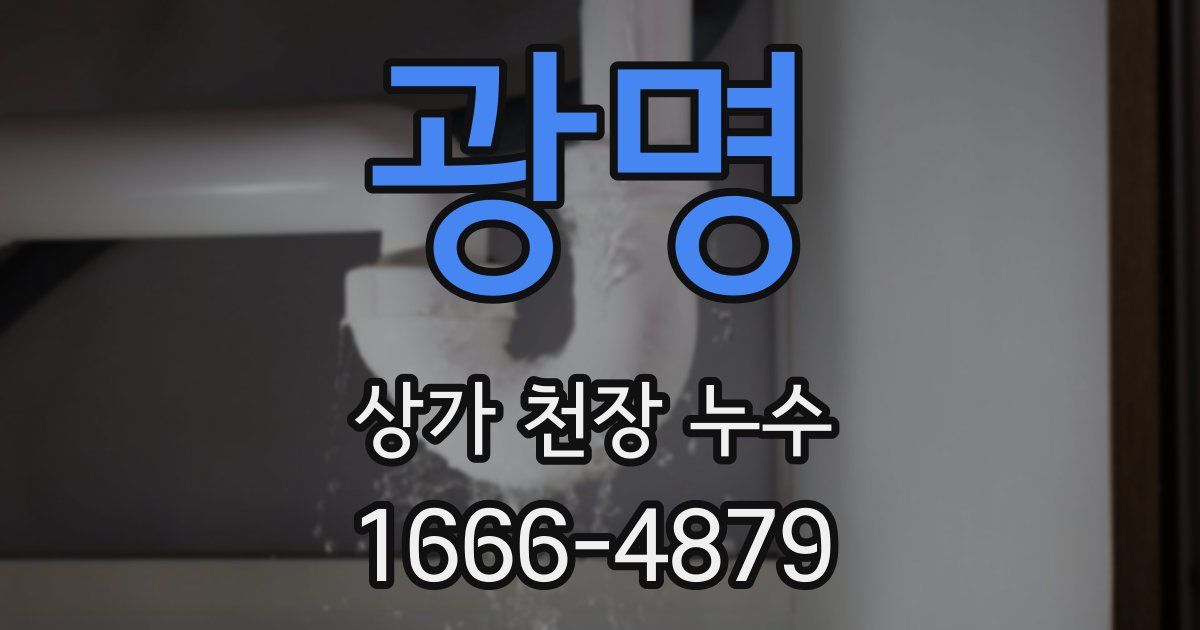 광명 상가 천장 누수
