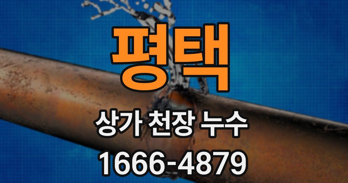 평택 상가 천장 누수