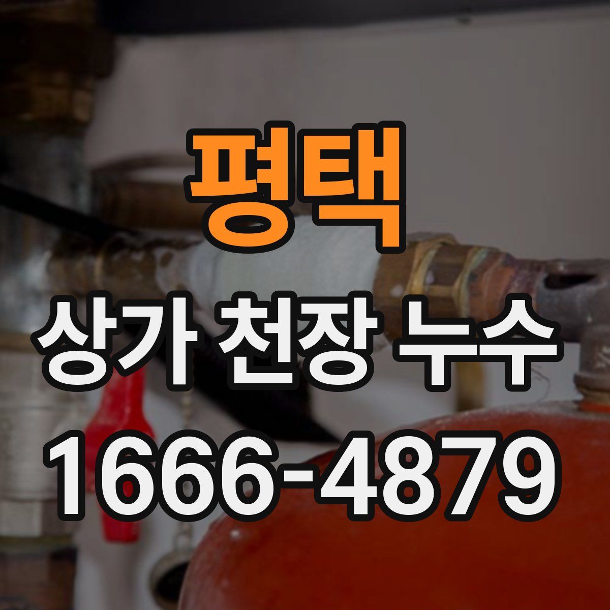 평택 상가 천장 누수