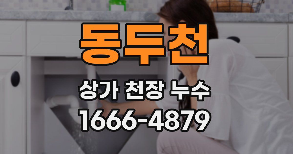 동두천 상가 천장 누수