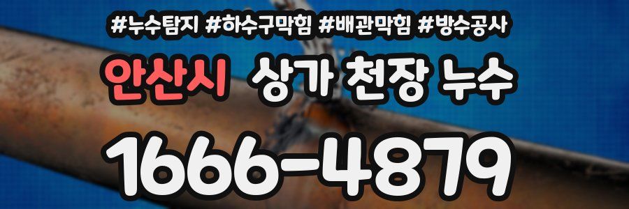 안산시 상가 천장 누수