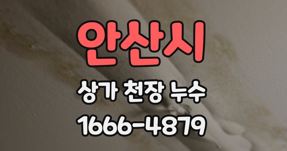 안산시 상가 천장 누수