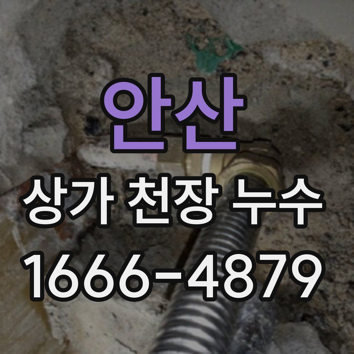 안산 상가 천장 누수