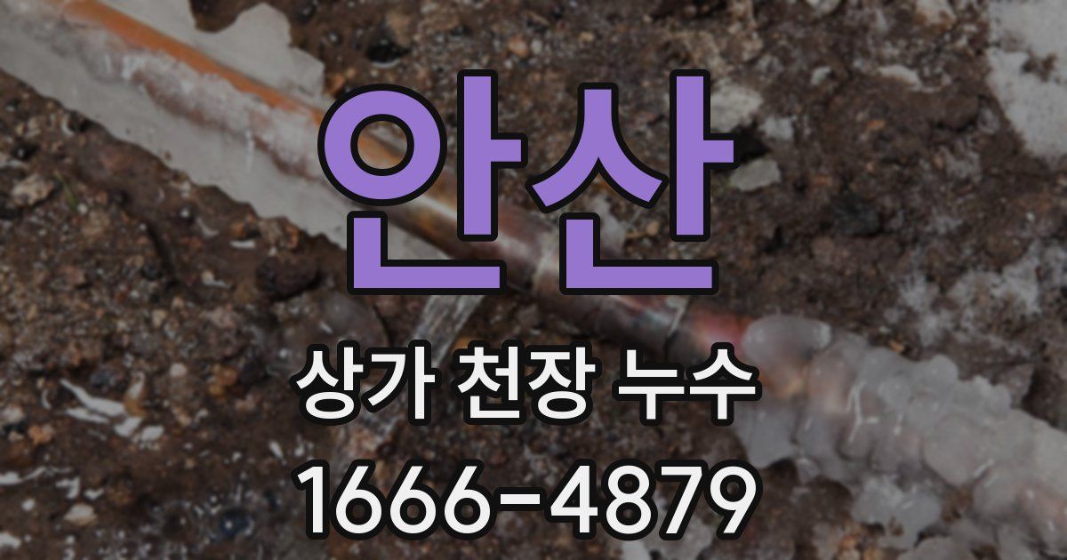 안산 상가 천장 누수