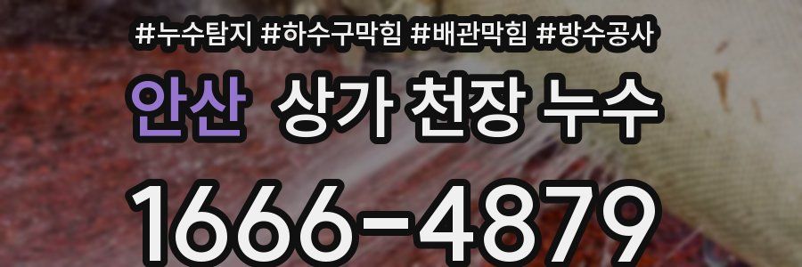 안산 상가 천장 누수