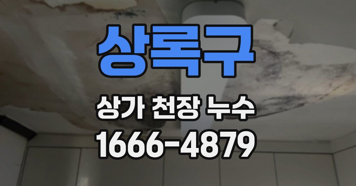 상록구 상가 천장 누수