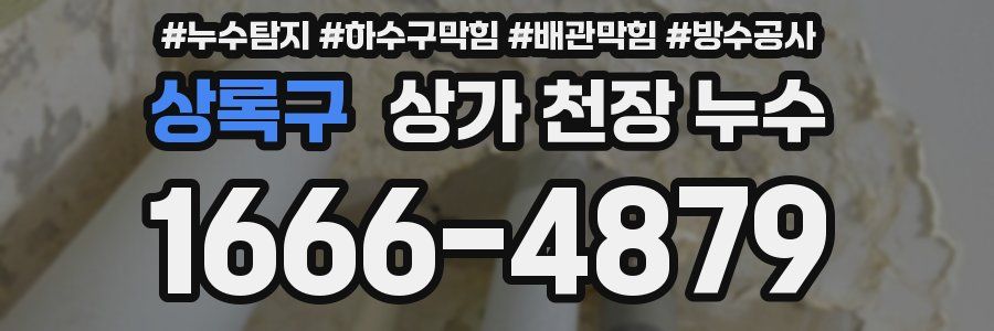 상록구 상가 천장 누수