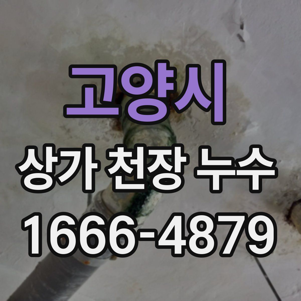 고양시 상가 천장 누수