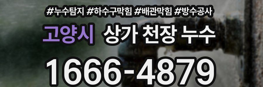 고양시 상가 천장 누수