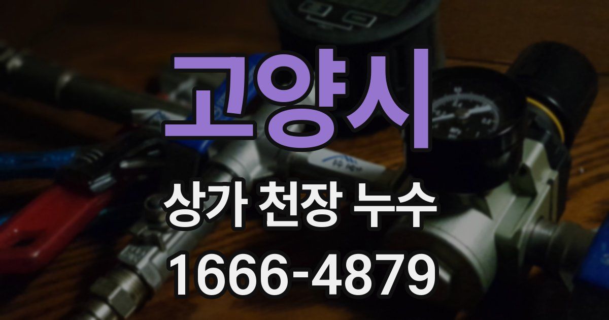 고양시 상가 천장 누수