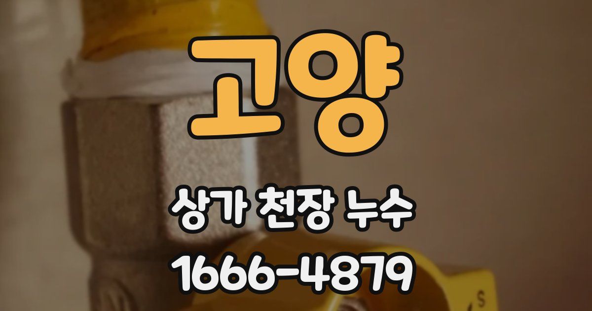 고양 상가 천장 누수