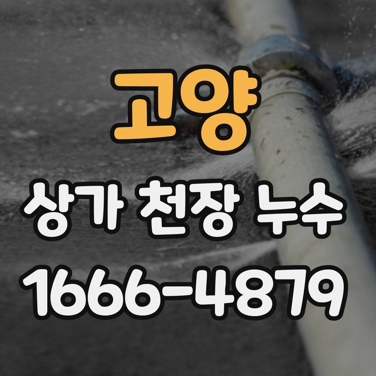고양 상가 천장 누수