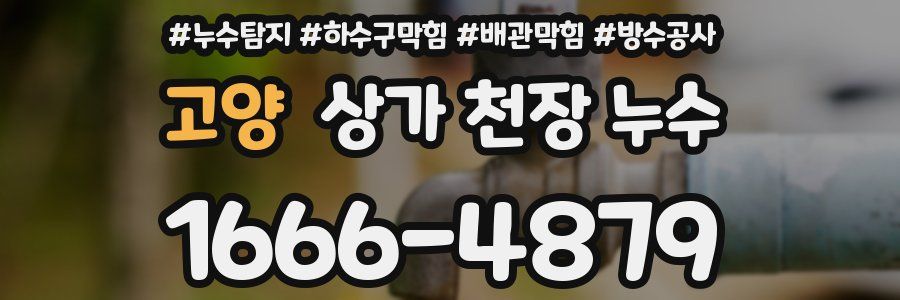 고양 상가 천장 누수
