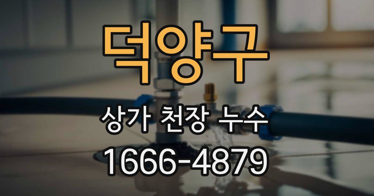 덕양구 상가 천장 누수