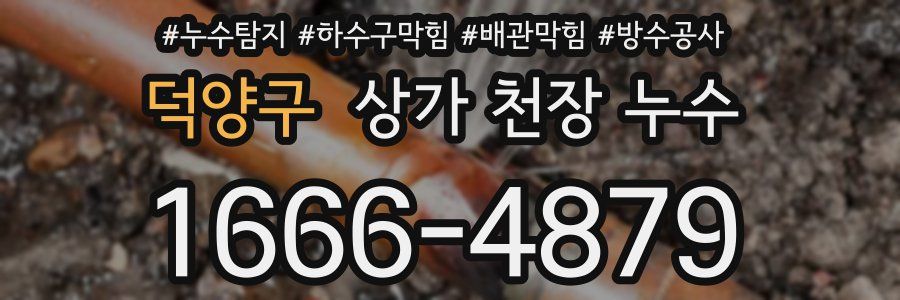 덕양구 상가 천장 누수