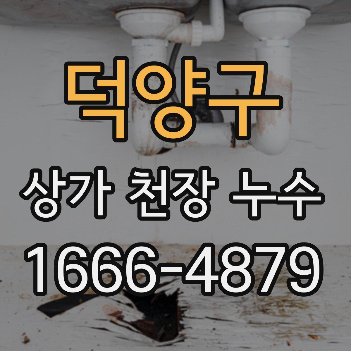 덕양구 상가 천장 누수
