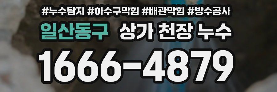 일산동구 상가 천장 누수