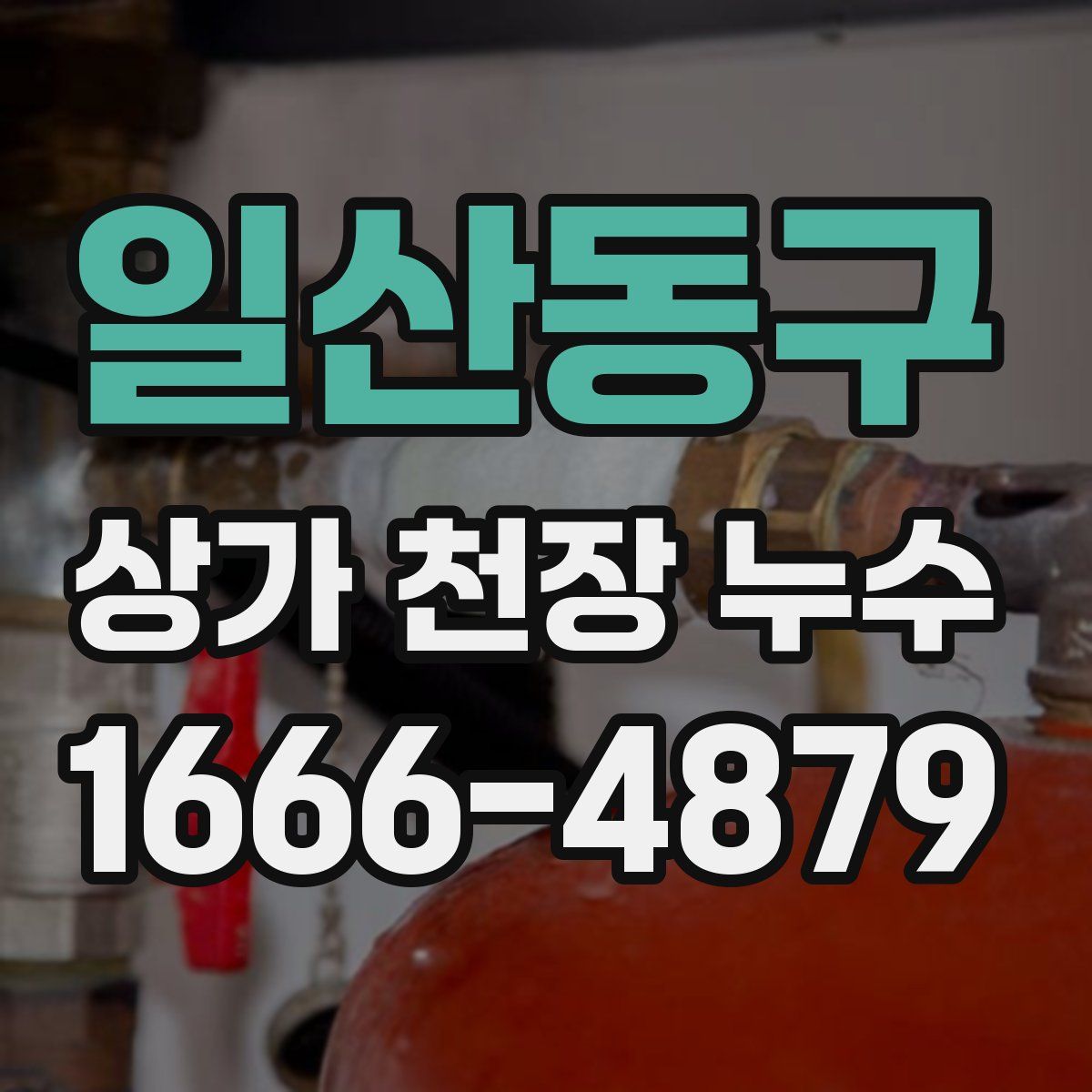 일산동구 상가 천장 누수